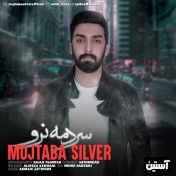 Mojtaba Silver – Sardame Naro